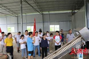 吉首大学爆料事件视频播放,真相与争议交织